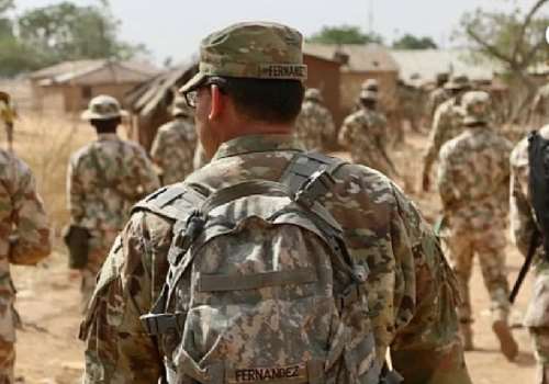 Joint US-Nigeria Airstrike Reportedly Kills 21 ISWAP Fighters in Borno