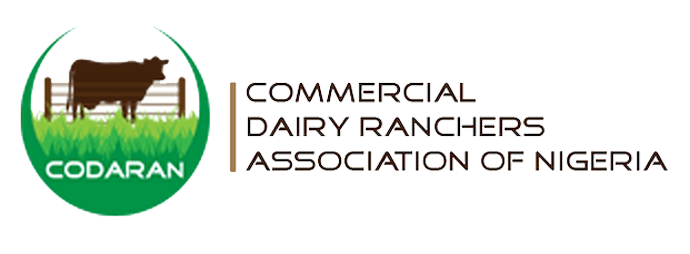WORLD MILK DAY:  Milk Substitutes Lack Real Dairy Value — CODARAN