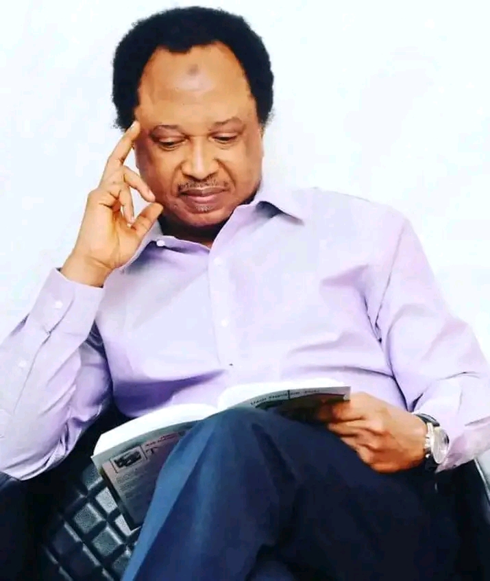 Shehu Sani And The Politics of Conscience