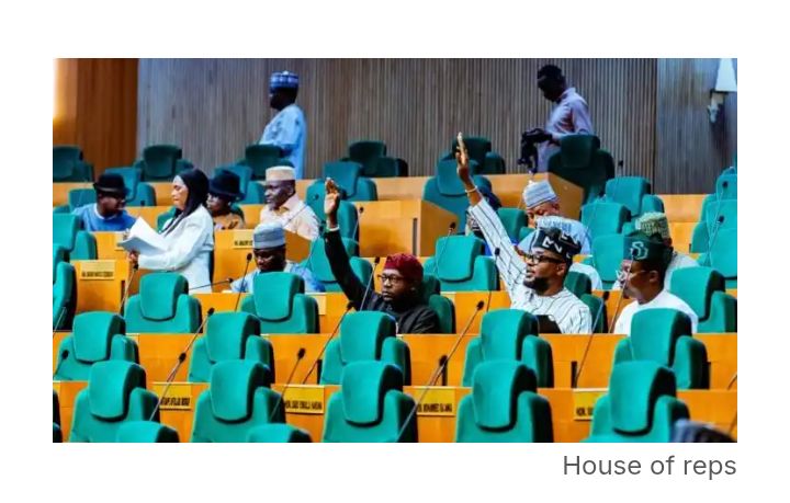 Reps Summon Service Chiefs, NSA Ribadu Over Escalating Insecurity Across Nigeria