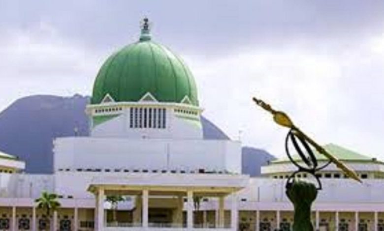 NASS May Hit South Africa With Sanctions Over Rising Attacks on Nigerians