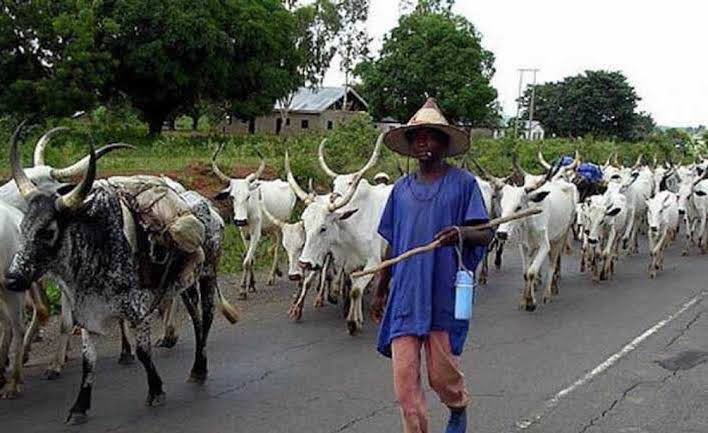 Fulani group urges herders to support security efforts in South-West