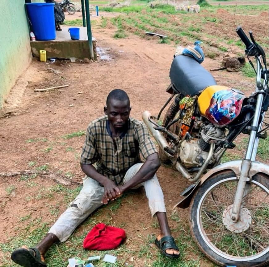 Troops Foil Bandits’ Attack, Recover 97 Cattle and 50 Sheep in Kano