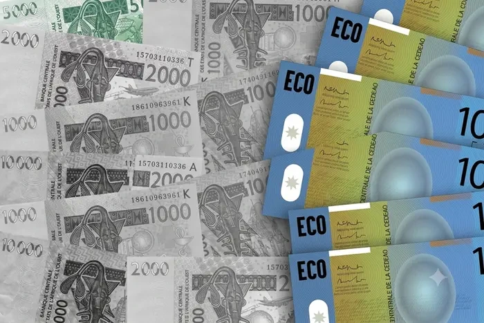 ECOWAS Targets 2027 Launch of ECO Single Currency