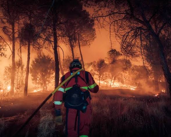  Nature's Fury: Spain and France Brace for Severe Heatwaves.