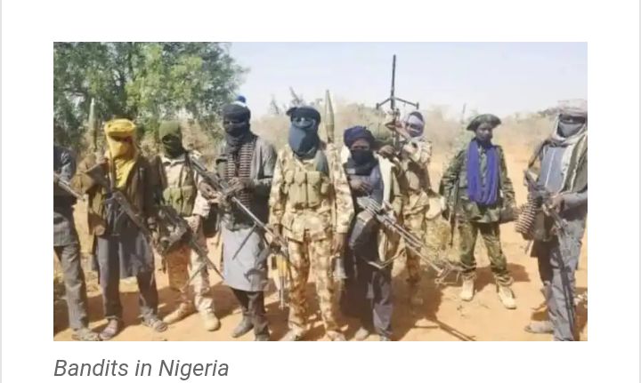 Ex-DSS Chief: Ransom Payments Deepened Nigeria’s Insecurity