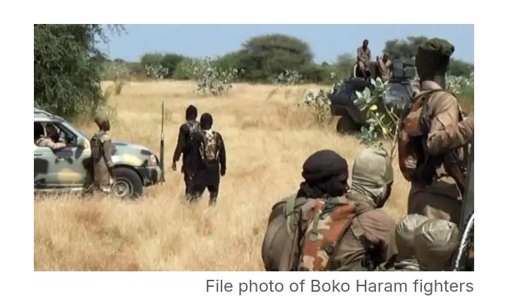 Leaked DSS Memo Warns of Boko Haram Plot