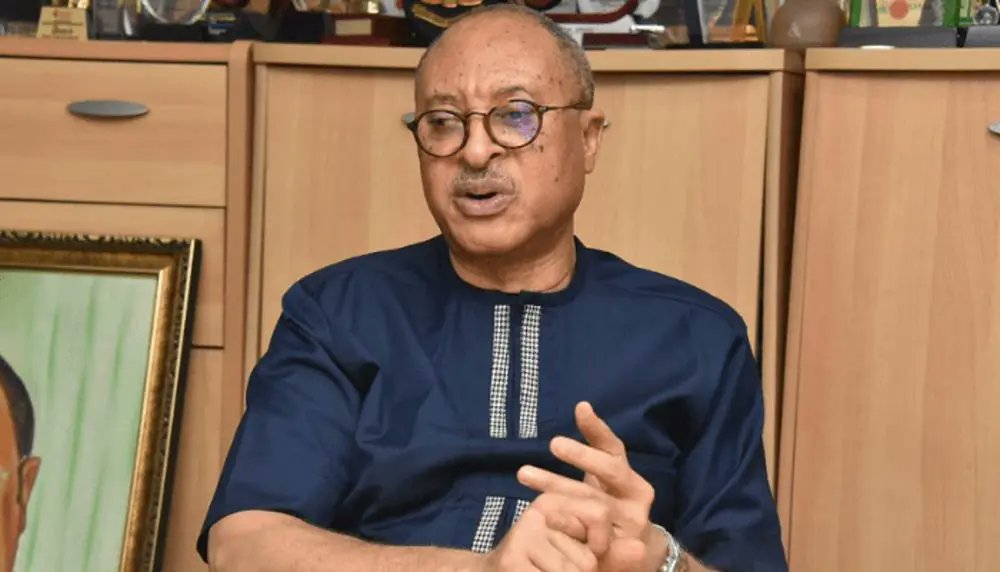 Utomi: Osun Election Shows Voters Can Defeat Rigging