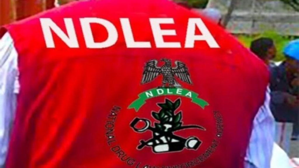NDLEA Denies ‘Drug Bunker’ Discovery at Taraba Nursing College